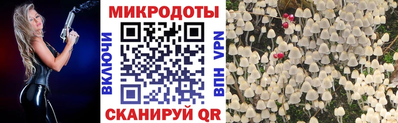 Псилоцибиновые грибы прущие грибы  kraken как зайти  Шумиха 